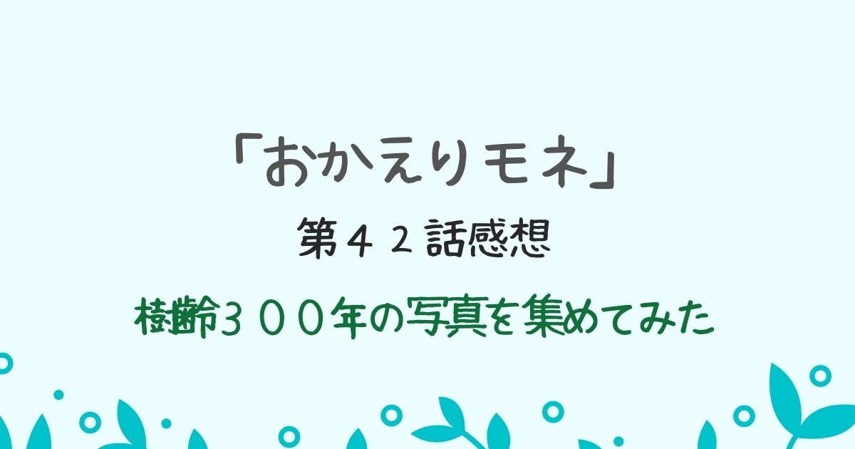 朝ドラ「おかえりモネ」感想　樹齢３００年